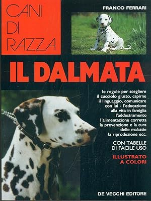 Il Dalmata