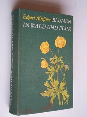 Blumen in Wald und Flur