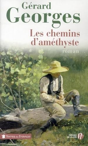 Les chemins d'améthyste