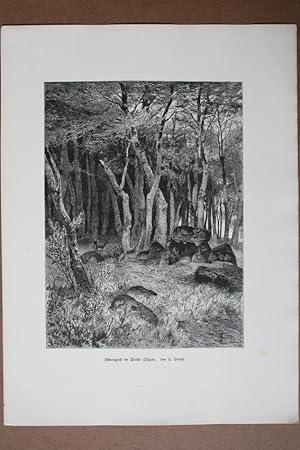 Rügen, Hünengrab im Walde, Holzstich um 1890 von H. Baisch, Blattgröße: 38 x 28 cm, reine Bildgrö...