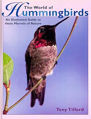 The World Of Hummingbirds : An Illustrated Guide To These Marvels Of Nature :