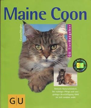 Maine Coon