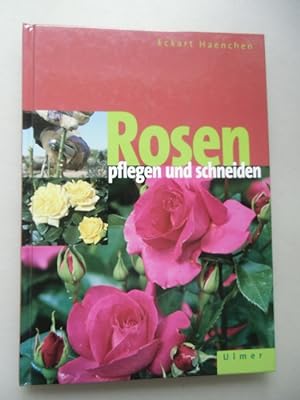 Bild des Verkufers fr Rosen pflegen und schneiden 2002 zum Verkauf von Versandantiquariat Harald Quicker