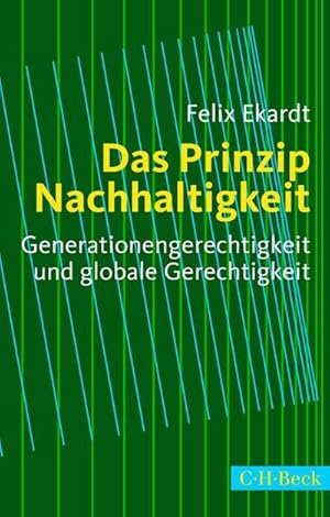 Bild des Verkufers fr Das Prinzip Nachhaltigkeit : Generationengerechtigkeit und globale Gerechtigkeit zum Verkauf von AHA-BUCH GmbH