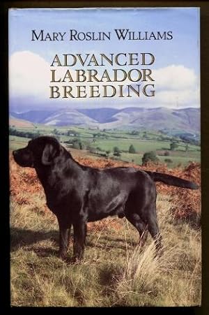 Advanced Labrador Breeding