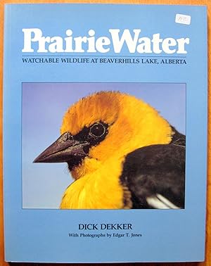 Prairie Water : Watchable Wildlife at Beaverhills Lake, Alberta