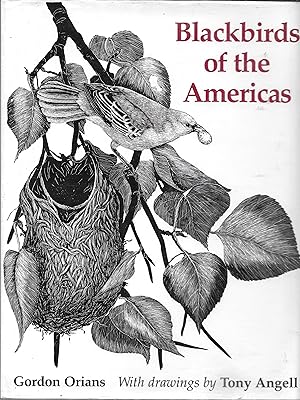 Seller image for Blackbirds Of The Americas for sale by Charing Cross Road Booksellers