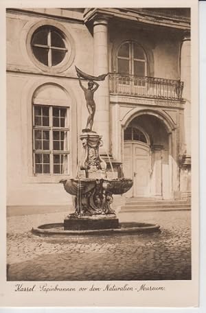 AK Alt-Kassel Papinbrunnen vor dem Naturalien- Museum Ansichtskarte