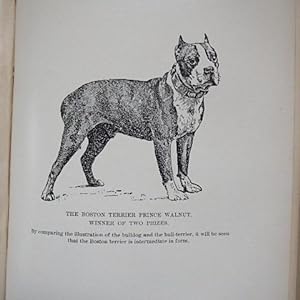 The Dog Book. A Manual on the Dog: His Origin, History, Varieties, Breeding, Education and Genera...