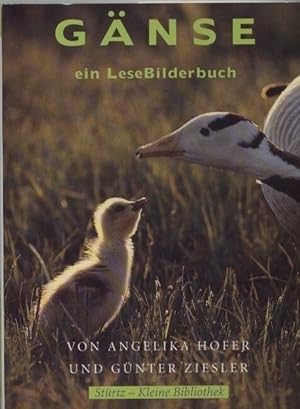 Immagine del venditore per Gnse ein LeseBilderbuch venduto da Clivia Mueller