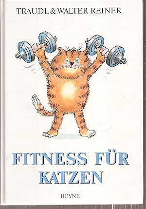 Fitness für Katzen