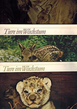 Tiere im Wachstum Der Orang-Utan Das Reh Das Graue Riesenkänguruh