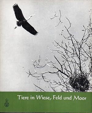 Seller image for Tiere in Wiese,Feld und Moor for sale by Clivia Mueller