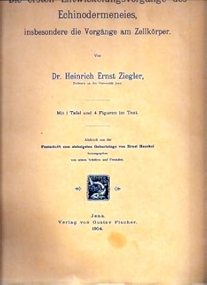 Image du vendeur pour Die ersten Entwicklungsvorgnge des Echinodermeneies (Seeigel) mis en vente par Clivia Mueller