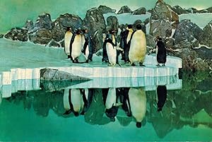 Pinguin-Anlage im Exotarium