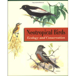 Seller image for Neotropical Birds: Ecology and Conservation [PB] for sale by Buteo Books