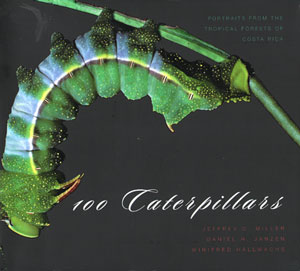 Bild des Verkufers fr 100 Caterpillars: portraits from the tropical forests of Costa Rica. zum Verkauf von Andrew Isles Natural History Books