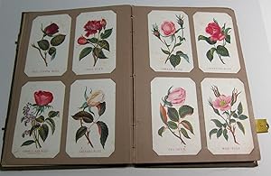 Chromolithographs: 51 cards in original Prang Album. (Roses, Flowers, Mosses, Algae).