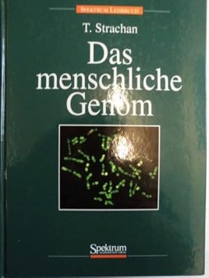 Immagine del venditore per Das menschliche Genom. T. Strachan. Aus dem Engl. bers. von Sebastian Vogel venduto da Antiquariat Buchhandel Daniel Viertel