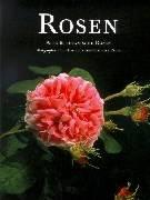 Bild des Verkufers fr Rosen. Alte und botanische Rosen. Fotografien: Paul Starosta, Text: Elnore Cruse. Aus dem Franzsischen von Aglaia Citron. zum Verkauf von Buch-Galerie Silvia Umla