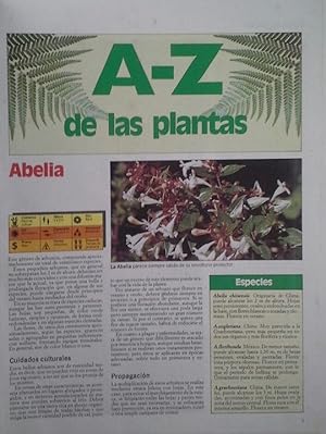 DICCIONARIO DE LAS PLANTAS A-Z