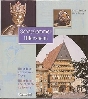 Seller image for Schatzkammer Hildesheim for sale by Clivia Mueller