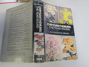 Seller image for Chrysanthemums the Year Round for sale by Goldstone Rare Books