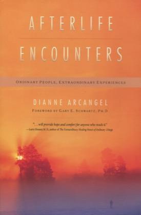 Immagine del venditore per Afterlife Encounters: Ordinary People, Extraordinary Experiences venduto da Kenneth A. Himber