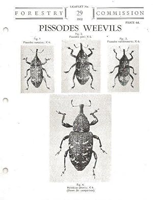 Pissodes Weevils. Forestry Commission Leaflet No. 29.