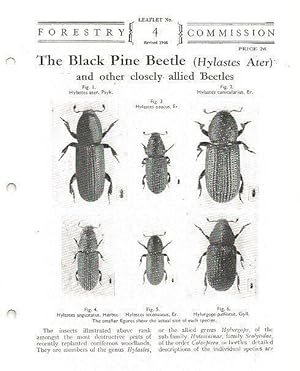 The Black Pine Beetle (Hylastes Ater) and Other Closely Allied Beetles. Forestry Commission Leafl...