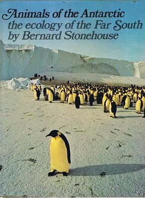 Seller image for Animals Of The Antarctic The Ecology Of The Far South for sale by Marlowes Books and Music
