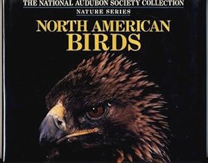 North American Birds