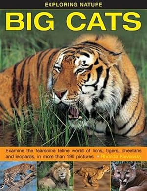 Imagen del vendedor de Big Cats : Examine the Fearsome Feline World of Lions, Tigers, Cheetahs and Leopards, in More Than 190 Pictures a la venta por GreatBookPrices