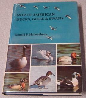 North American Ducks, Geese, & Swans