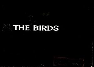 The Birds (Archive of original title card maquettes for the 1963 film)