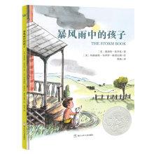 Seller image for US Catic Silver works: Children storm(Chinese Edition) for sale by liu xing