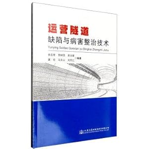 Imagen del vendedor de Tunnel operators Defects and Defect Treatment Technology(Chinese Edition) a la venta por liu xing