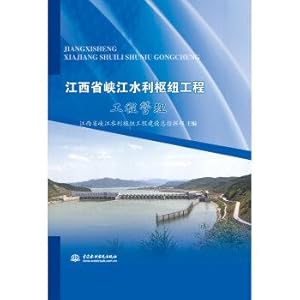 Immagine del venditore per Jiangxi Three Gorges Water Control Project: Project Management(Chinese Edition) venduto da liu xing