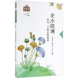 Imagen del vendedor de Twenty-Four Histories History of Water Ripples by material(Chinese Edition) a la venta por liu xing