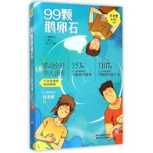 Seller image for Warm Red Dragonfly Love novel: 99 Cobblestone(Chinese Edition) for sale by liu xing