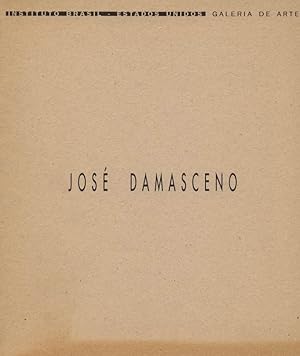 Immagine del venditore per Jose Damasceno venduto da Versandantiquariat Boller