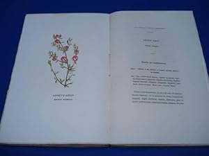 Nouvelle Botanique Médicale. Vol. III