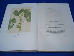Nouvelle Botanique Médicale. Vol. IV