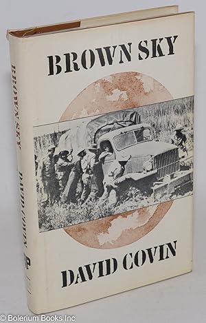 Brown sky; a novel