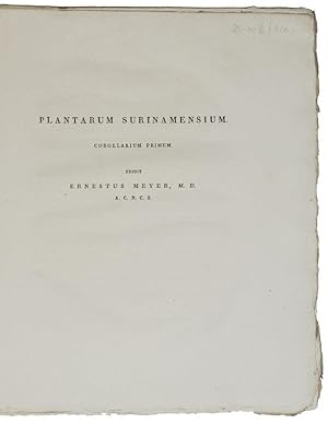 Plantarum Surinamensium. Corollarium primum. [=alles Erschienene].