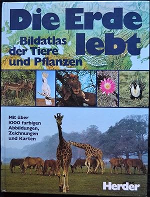 Seller image for Die Erde lebt - Bildatlas der Tiere und Pflanzen for sale by Alte Spiele  Modernes Spiele-Antiquariat