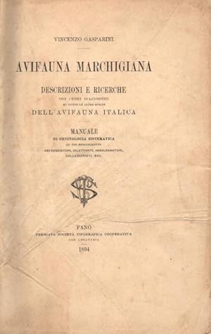 Bild des Verkufers fr AVIFAUNA MARCHIGIANA. Descrizioni e ricerche con cenni diagnostici su tutte le altre specie dell'avifauna italica. Manuale di ornitologia sistematica ad uso specialmente dei cacciatori, dilettanti, imbalsamatori, collezionisti, etc. zum Verkauf von studio bibliografico pera s.a.s.