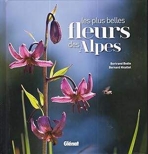 Les plus belles fleurs des Alpes