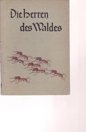 Image du vendeur pour Die Herren des Waldes. Eine Amaisengeschichte. mis en vente par Ant. Abrechnungs- und Forstservice ISHGW