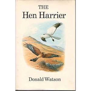 Bild des Verkufers fr The Hen Harrier zum Verkauf von Buteo Books